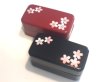 Photo4: 長角2段弁当箱　採光　さくら　黒/　2-Stage Lunch Box　Sakura　Black (4)